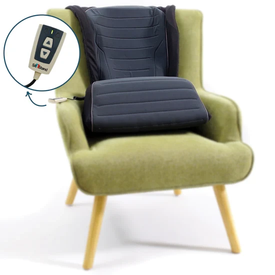 2026-02-28-69a3162f11952.webp SitNStand Lift Assist, Classic (LSS403710) - Image 1