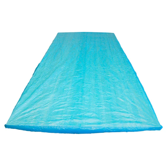 2026-03-01-69a3e10738c37.webp Mattress Protector, Fitted Draw Sheet or Bed Sheet, 210 x 90 x 20 cm, Soft CPE Plastic, Waterproof, Blue, Disposable, Loose - Image 1