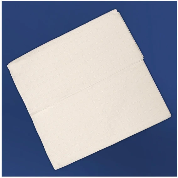 2026-03-01-69a3e9631c9f5.webp Examination Sheets 1030 X 1800mm, Large, (50 Items / Box) - Each - Image 1