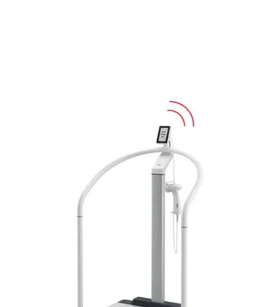 Seca 654 Flat Scale with Handrail, EMR Ready, Each (SE654.455)